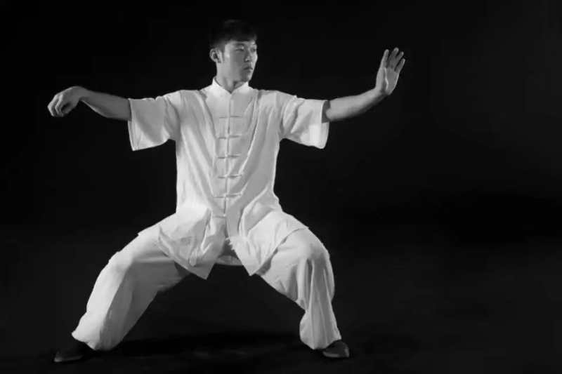 Chen Taijiquan seminar z Wang Yan-om