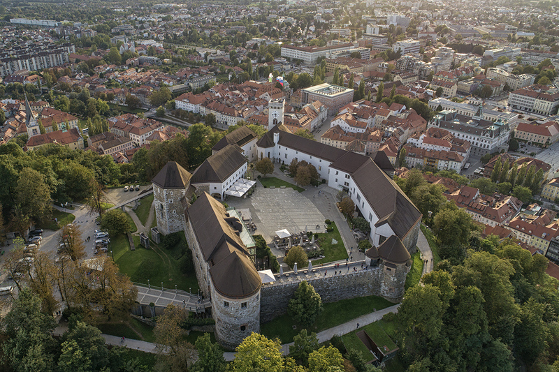 Spoznavanje zdravilnih rastlin na Grajskem griču Spoznavanje zdravilnih rastlin na Grajskem griču