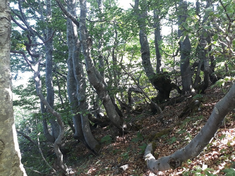 Predstavitev filma Naravna dediščina ob Veliki vodi