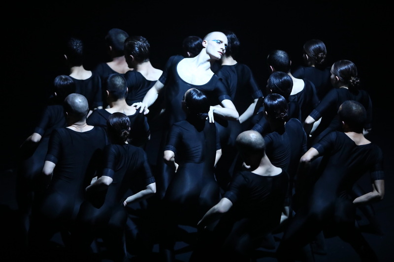 Batsheva - The Young Ensemble: Pogled & druge stvaritve