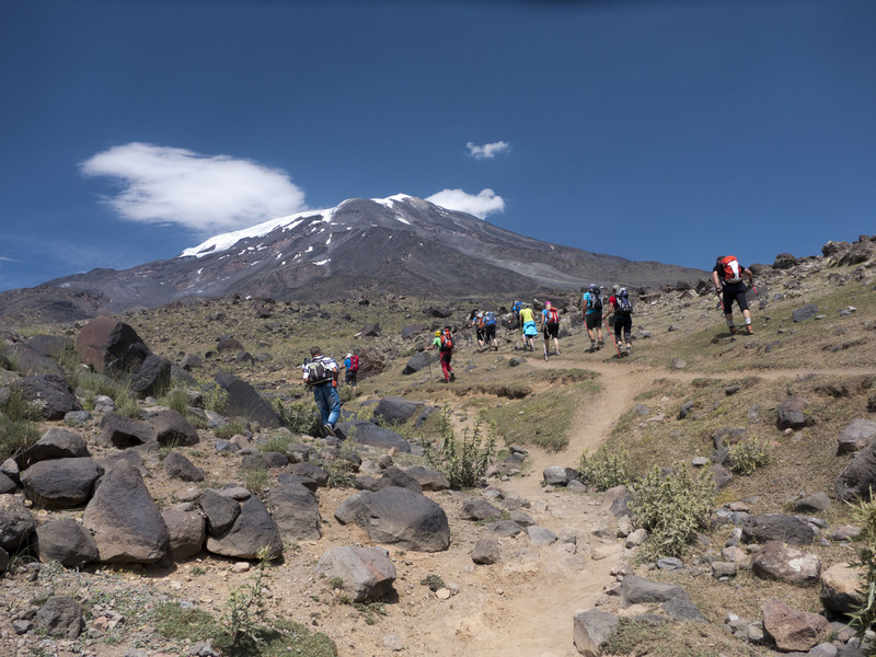 Ararat